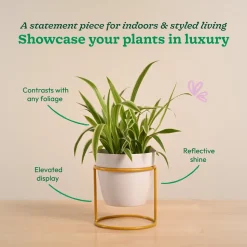 Nyx Planter