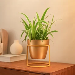 Nyx Planter