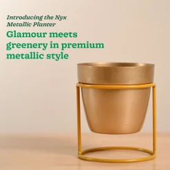 Nyx Planter