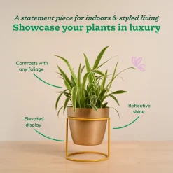 Nyx Planter