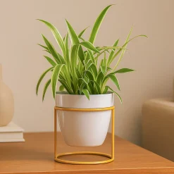 Nyx Planter