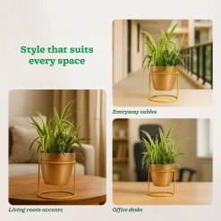 Nyx Planter