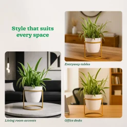 Nyx Planter