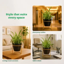 Nyx Planter