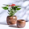 Orbit Wooden Planter - Set of 2