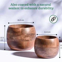 Orbit Wooden Planter - Set of 2