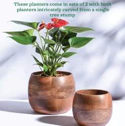 Orbit Wooden Planter - Set of 2