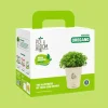 Oregano Grow Kit