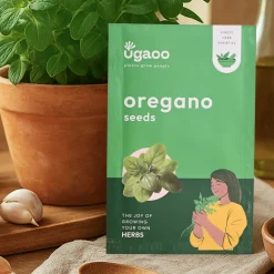 Oregano Seeds