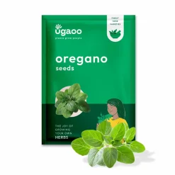 Oregano Seeds