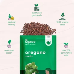 Oregano Seeds