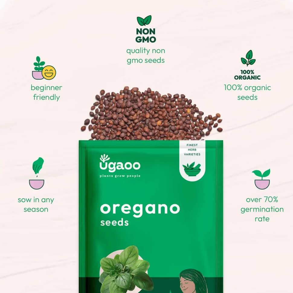 Oregano Seeds
