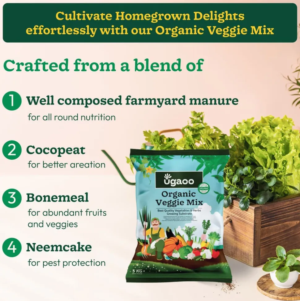 Organic Veggie Mix - 5 Kg