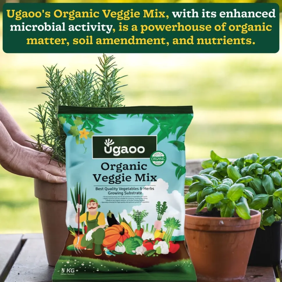 Organic Veggie Mix - 5 Kg