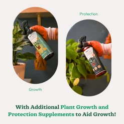 Outdoor Gardening Kit