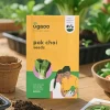 Pak Choi Seeds
