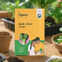 Pak Choi Seeds