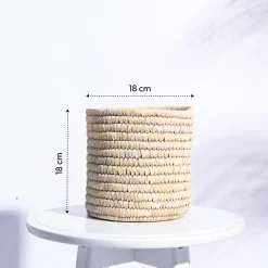 Palm Leaf Planter