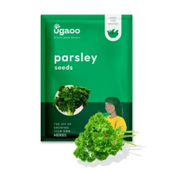 Parsley Seeds