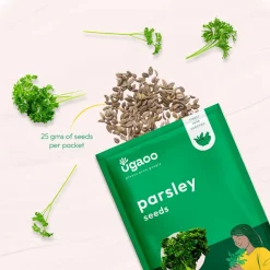 Parsley Seeds