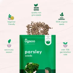 Parsley Seeds