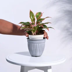 Pastel Ridge Heritage Planter