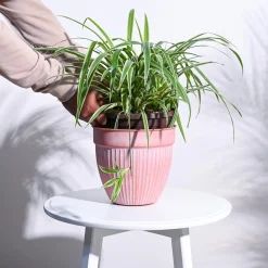 Pastel Ridge Heritage Planter