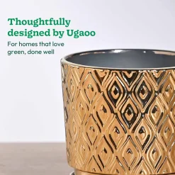 Peacock ceramic pot 5 inch