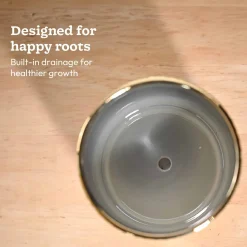 Peacock ceramic pot 5 inch
