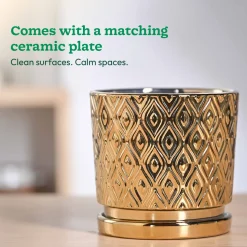 Peacock ceramic pot 5 inch