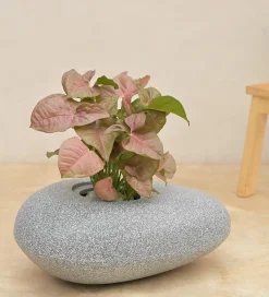Pebble Shaped Planter