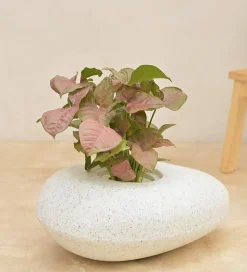 Pebble Shaped Planter