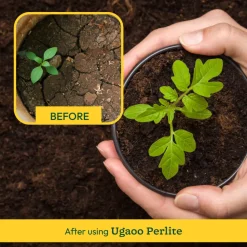 Perlite - 250gm