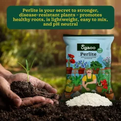 Perlite - 250gm