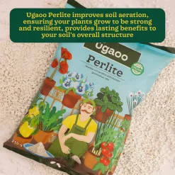 Perlite - 250gm