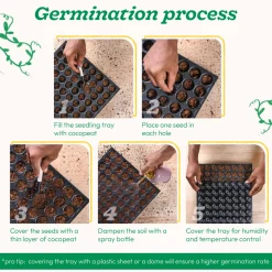 Petunia Mix Seeds