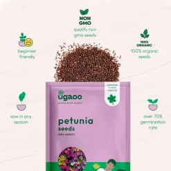 Petunia Mix Seeds