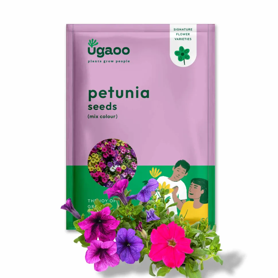 Petunia Mix Seeds