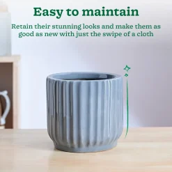 Phoenix ceramic Planter