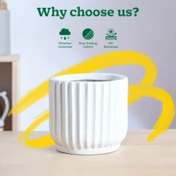Phoenix ceramic Planter