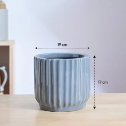 Phoenix ceramic Planter