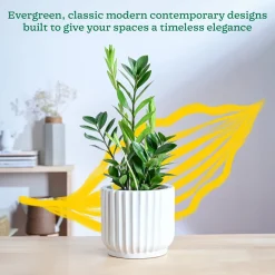 Phoenix ceramic Planter