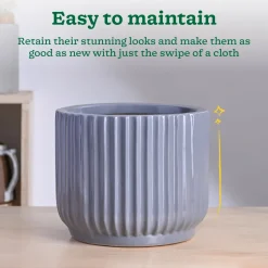 Phoenix Ceramic Pot (9.5 Inch Diameter)