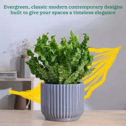 Phoenix Ceramic Pot (9.5 Inch Diameter)