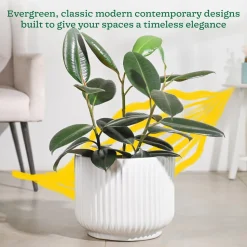 Phoenix Ceramic Pot (12.5 Inch Diameter)
