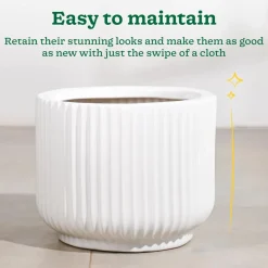 Phoenix Ceramic Pot (12.5 Inch Diameter)