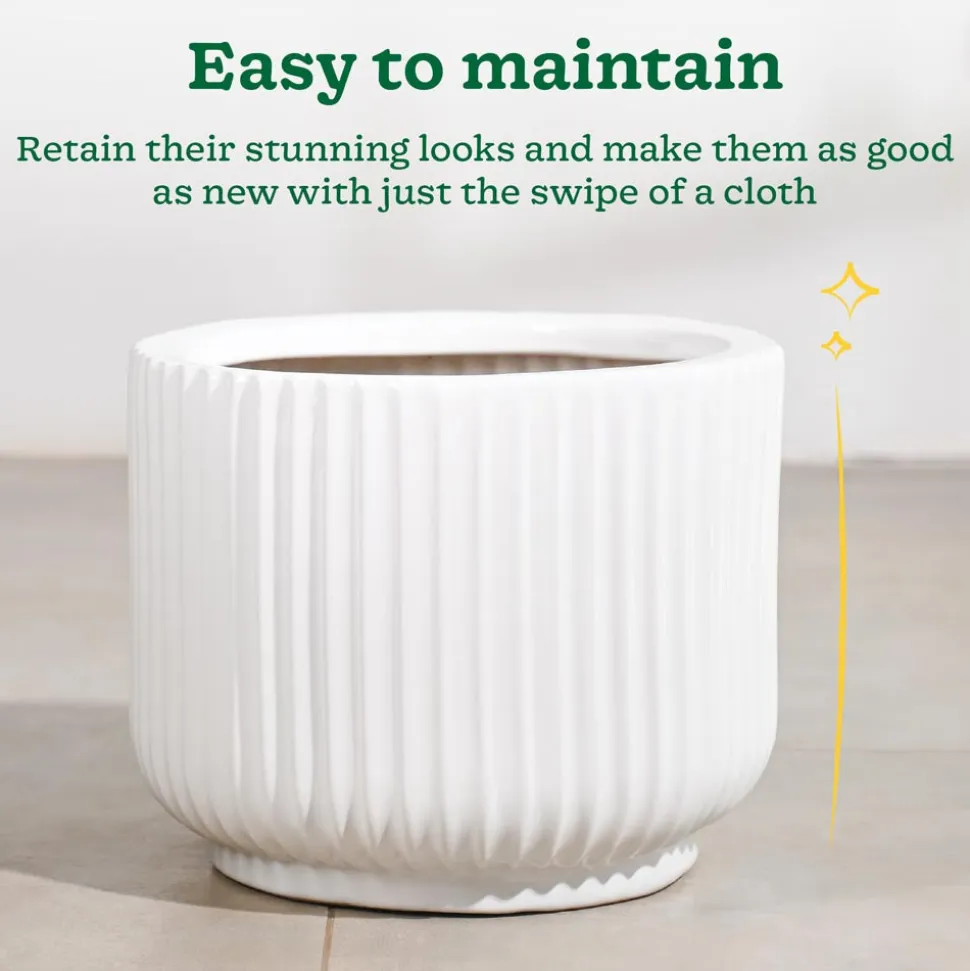 Phoenix Ceramic Pot (12.5 Inch Diameter)