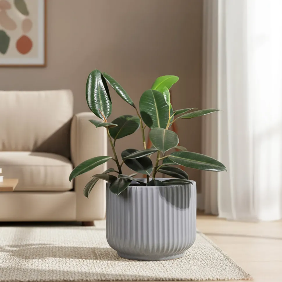 Phoenix Ceramic Pot (12.5 Inch Diameter)