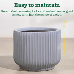 Phoenix Ceramic Pot (12.5 Inch Diameter)
