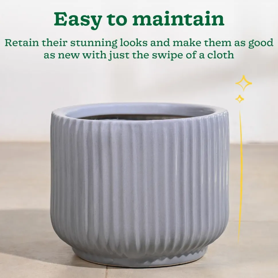 Phoenix Ceramic Pot (12.5 Inch Diameter)